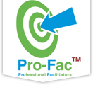 Professional Facilitators